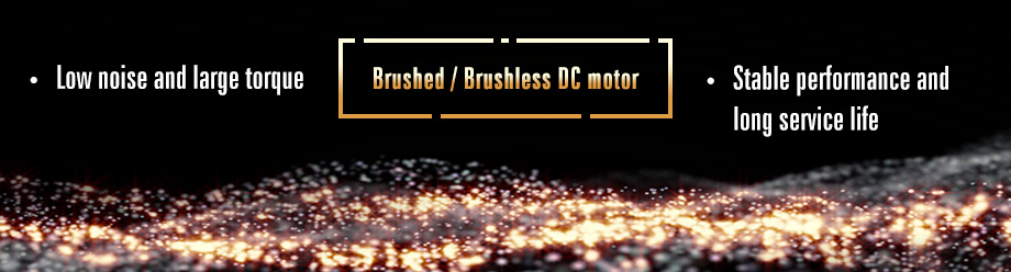 Brushed DC motor and brushless DC motor